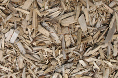 biomass boilers Rose Ash